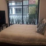 Guadalupe Inn Cdmx, Nuevo Estrena
